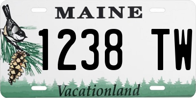 ME license plate 1238TW