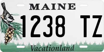 ME license plate 1238TZ