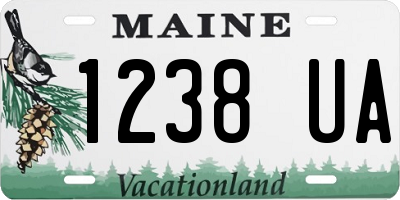 ME license plate 1238UA