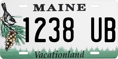 ME license plate 1238UB