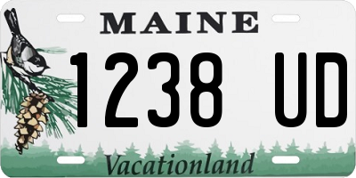 ME license plate 1238UD