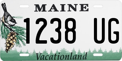 ME license plate 1238UG