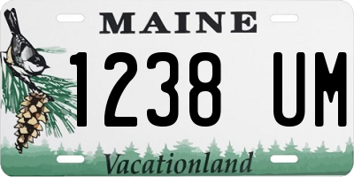 ME license plate 1238UM