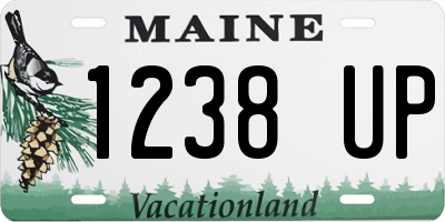 ME license plate 1238UP