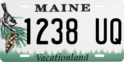 ME license plate 1238UQ