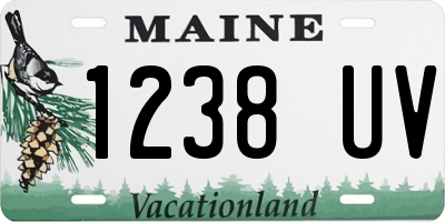 ME license plate 1238UV