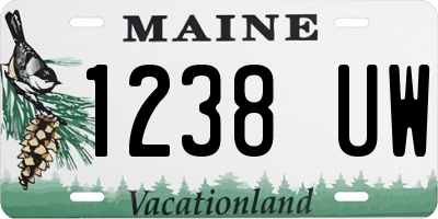 ME license plate 1238UW