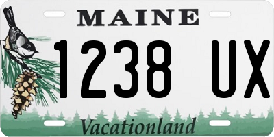ME license plate 1238UX