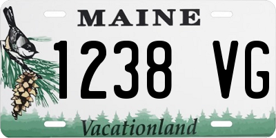 ME license plate 1238VG