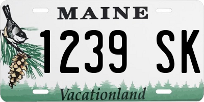 ME license plate 1239SK
