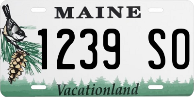 ME license plate 1239SO