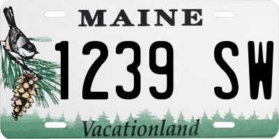 ME license plate 1239SW