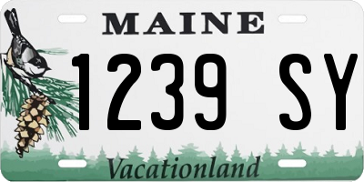 ME license plate 1239SY