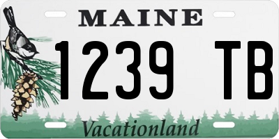 ME license plate 1239TB