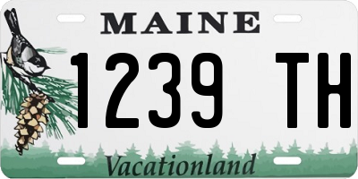 ME license plate 1239TH