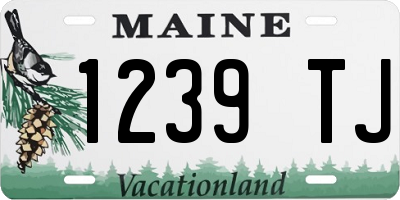 ME license plate 1239TJ
