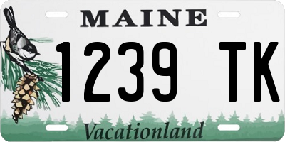 ME license plate 1239TK