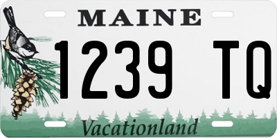 ME license plate 1239TQ