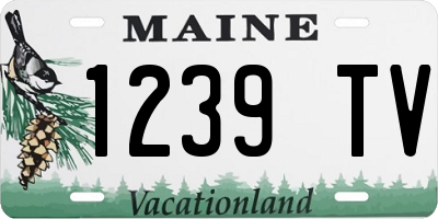 ME license plate 1239TV