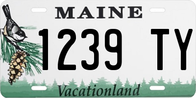 ME license plate 1239TY