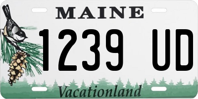 ME license plate 1239UD