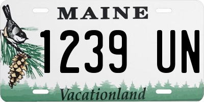 ME license plate 1239UN