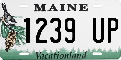 ME license plate 1239UP
