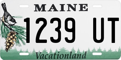 ME license plate 1239UT