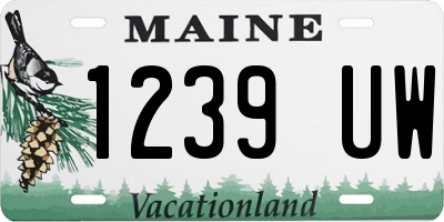 ME license plate 1239UW