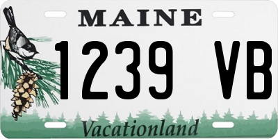 ME license plate 1239VB