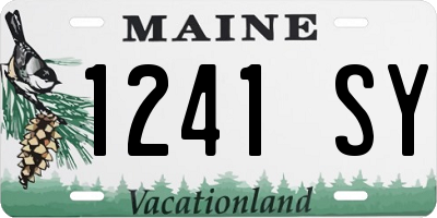 ME license plate 1241SY