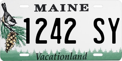 ME license plate 1242SY