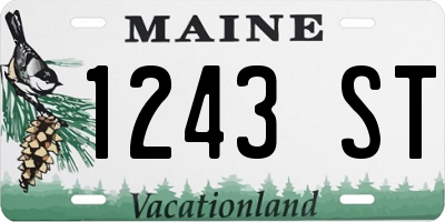 ME license plate 1243ST