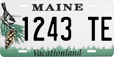 ME license plate 1243TE