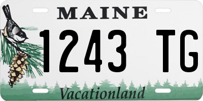 ME license plate 1243TG