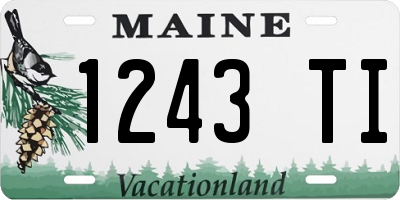 ME license plate 1243TI