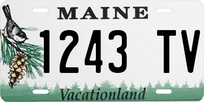 ME license plate 1243TV