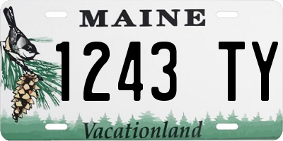 ME license plate 1243TY