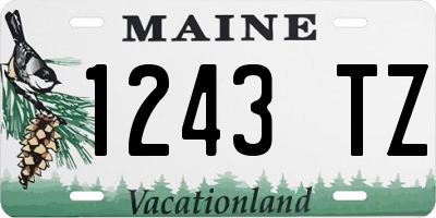 ME license plate 1243TZ