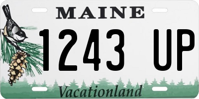ME license plate 1243UP
