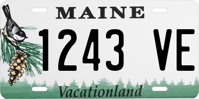 ME license plate 1243VE