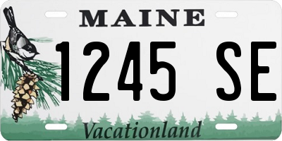 ME license plate 1245SE