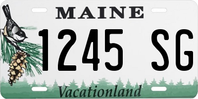 ME license plate 1245SG