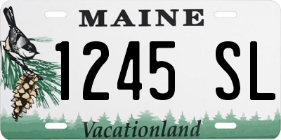 ME license plate 1245SL