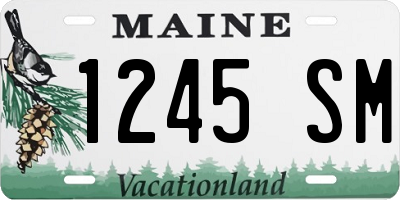 ME license plate 1245SM