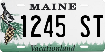 ME license plate 1245ST