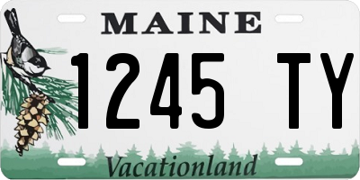 ME license plate 1245TY