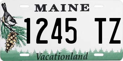ME license plate 1245TZ