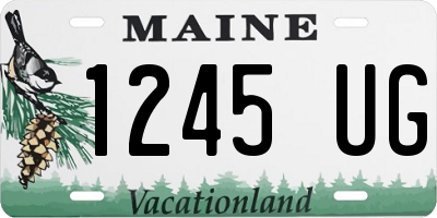 ME license plate 1245UG