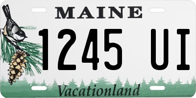 ME license plate 1245UI